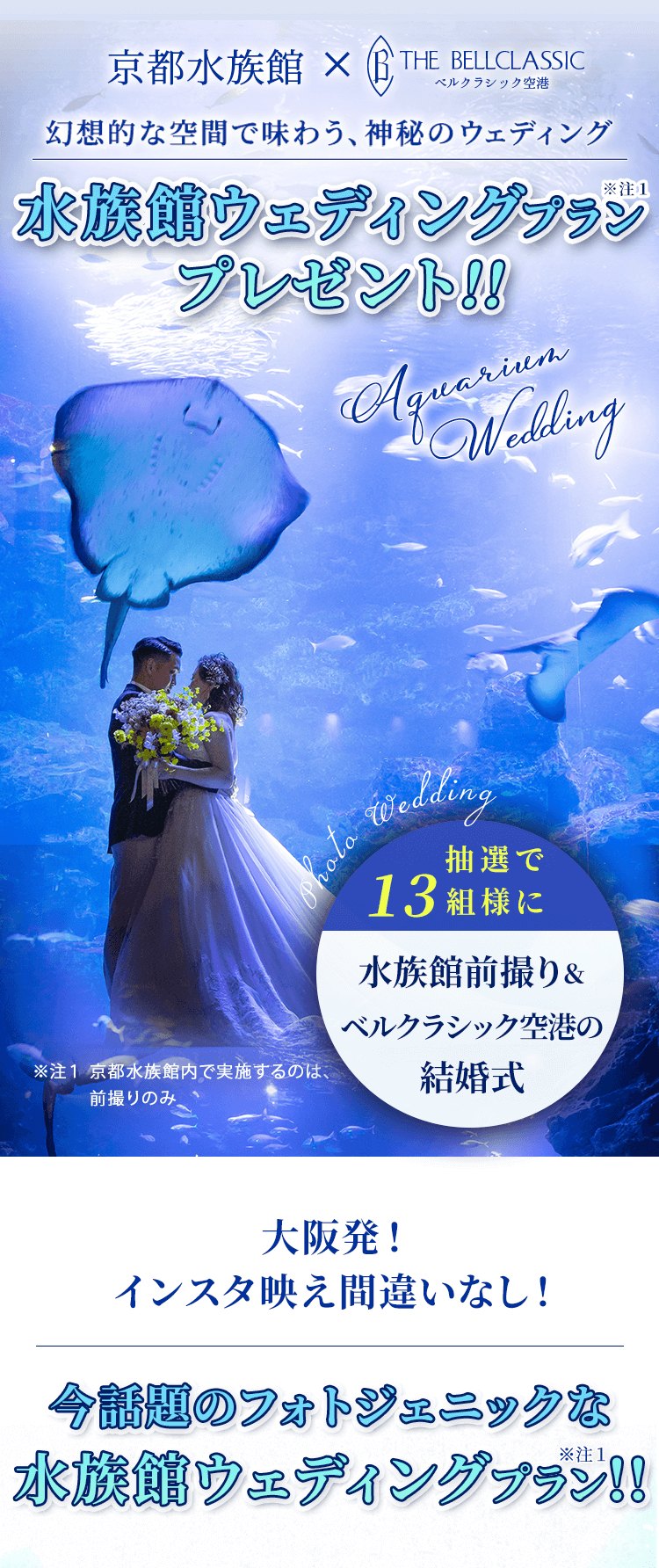 水族館ウェディングプランプレゼントキャンペーン！ ｜ BELLCLASSIC