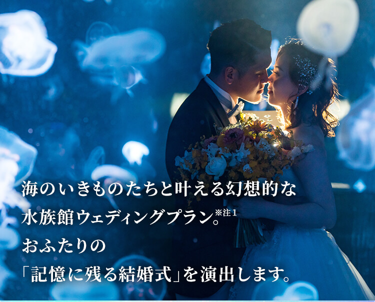 水族館ウェディングプランプレゼントキャンペーン！ ｜ BELLCLASSIC