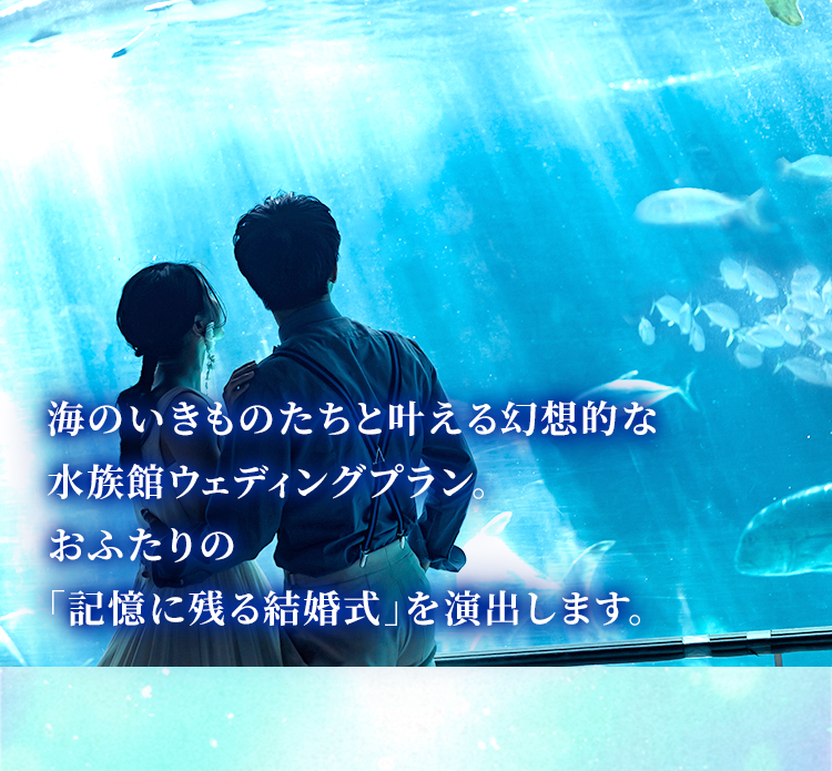 水族館ウェディングプランプレゼントキャンペーン！ ｜ BELLCLASSIC