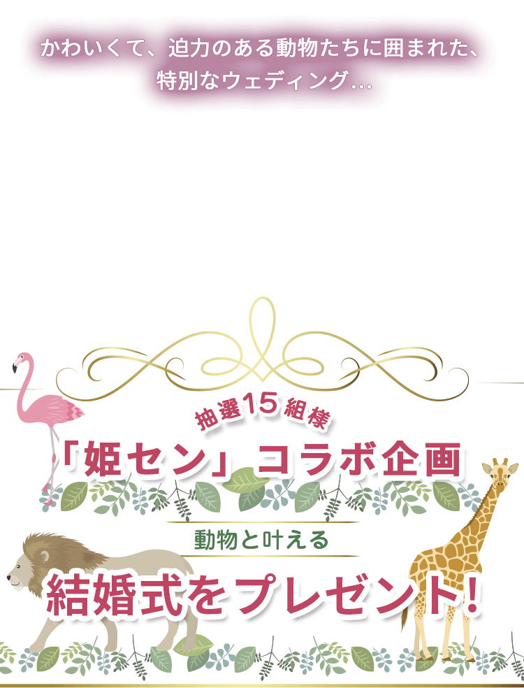 姫路駅前にウェディング相談デスクが
GRAND OPEN